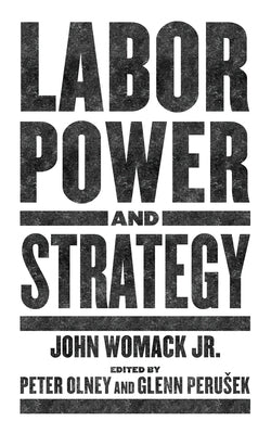 Paperback of "Labor Power and Strategy" by PM Press, showing the book cover with bold title and publisher details.