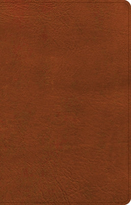 NASB Large Print Thinline Bible, Burnt Sienna Leathertouch Bible Holman Bibles