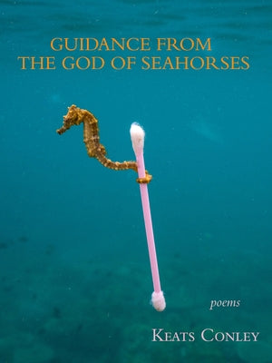 Guidance from the God of Seahorses Paperback Green Writers Press