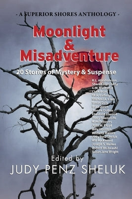 Moonlight & Misadventure: 20 Stories of Mystery & Suspense Paperback Superior Shores Press