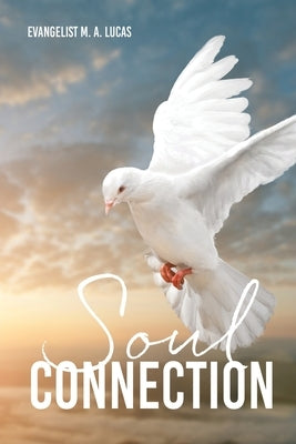 Soul Connection Paperback Xulon Press
