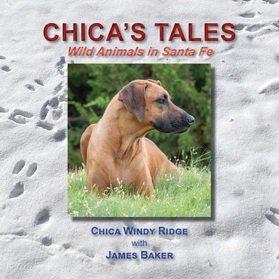 Chica's Tales, Wild Animals in Santa Fe Paperback Sunstone Press