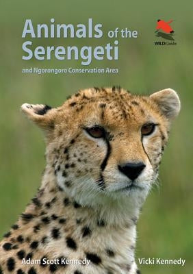 Animals of the Serengeti: And Ngorongoro Conservation Area Paperback Princeton University Press