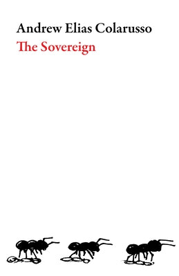 Paperback of The Sovereign by Dalkey Archive Press, featuring a cover with abstract artwork and the book title prominently displayed.