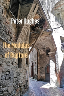 The Modulus of Rupture Paperback Shearsman Books