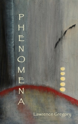 Phenomena Paperback Shanti Arts LLC