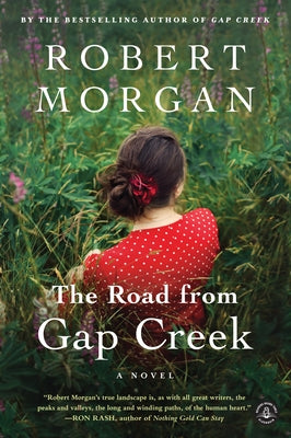 The Road from Gap Creek Shannon Ravenel Books