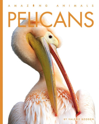 Pelicans Paperback Creative Paperbacks