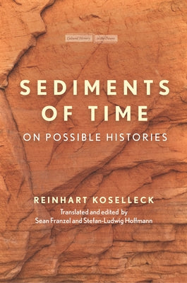 Sediments of Time: On Possible Histories Paperback Stanford University Press