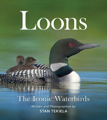 Close-up of a loon waterbird in its natural habitat, from the book "Loons: The Iconic Waterbirds" by Adventure Publications.