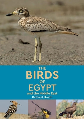 The Birds of Egypt and the Middle East Paperback American University in Cairo Press