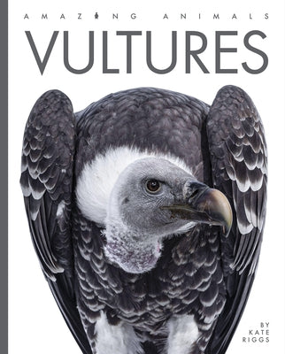 Vultures Paperback Creative Paperbacks