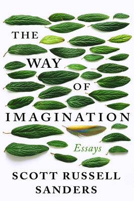 The Way of Imagination: Essays Counterpoint LLC