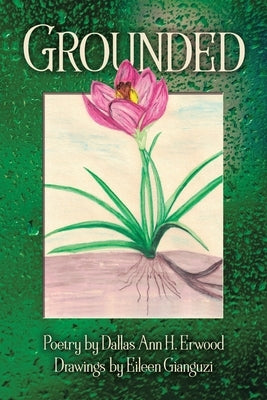 Grounded Paperback Aquazebra