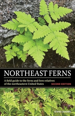 Northeast Ferns: A Field Guide to the Ferns and Fern Relatives of the Northeastern United States Paperback Orchard Innovations