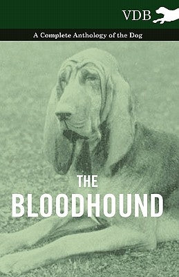The Bloodhound - A Complete Anthology of the Dog - Paperback Read Books