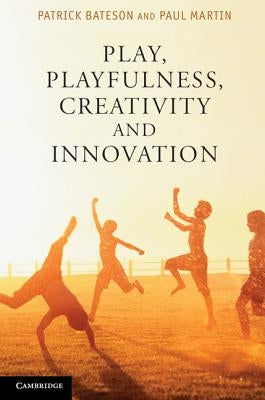 Play, Playfulness, Creativity and Innovation Paperback Cambridge University Press