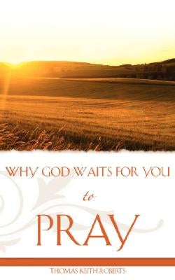 Why God Waits for You to Pray Paperback Xulon Press