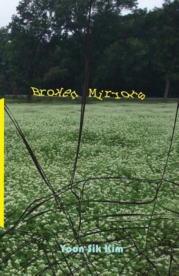 Broken Mirrors Paperback NYQ Books