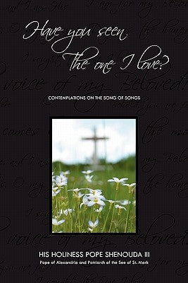 Have You Seen the One I Love: Contemplations on the Song of Songs Paperback Booksurge Publishing