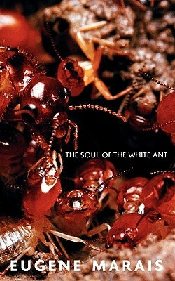 The Soul of the White Ant Paperback Distant Mirror