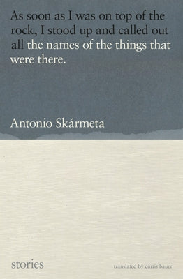 The Names of the Things That Were There: Stories Paperback Other Press (NY)