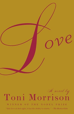 Vintage Love paperback book with a softcover design, featuring a romantic cover illustration and classic font.
