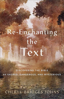 Re-Enchanting the Text: Discovering the Bible as Sacred, Dangerous, and Mysterious Paperback Baker Academic