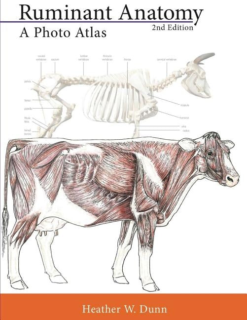 Ruminant Anatomy: A Photo Atlas Paperback Createspace Independent Publishing Platform