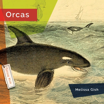 Orcas Paperback Creative Paperbacks