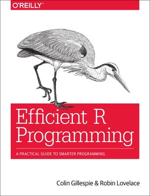 Efficient R Programming: A Practical Guide to Smarter Programming Paperback O'Reilly Media