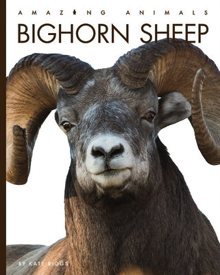 Bighorn Sheep Paperback Creative Paperbacks
