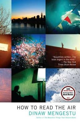 How to Read the Air Paperback Riverhead Books