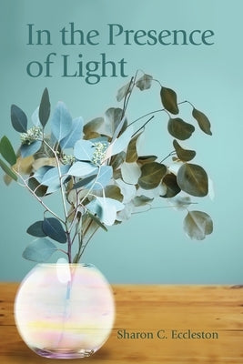In the Presence of Light Paperback Dorrance Publishing Co.