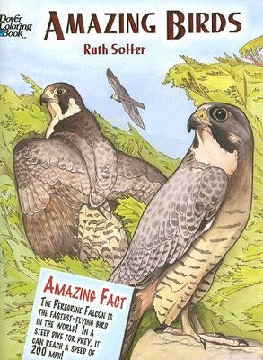 Amazing Birds Coloring Book Paperback Dover Publications