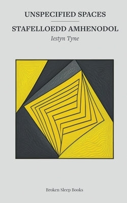 Unspecified Spaces Paperback Broken Sleep Books