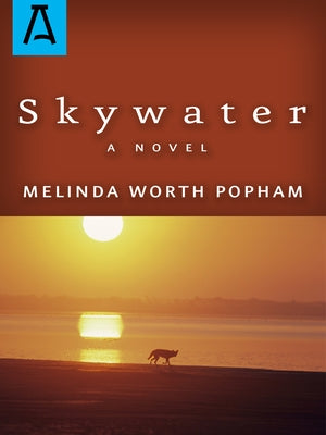 Skywater Paperback Open Road Distribution