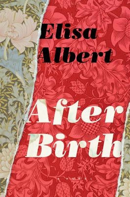 After Birth Paperback Houghton Mifflin