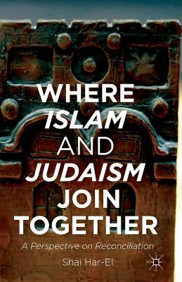 Where Islam and Judaism Join Together: A Perspective on Reconciliation Paperback Palgrave MacMillan
