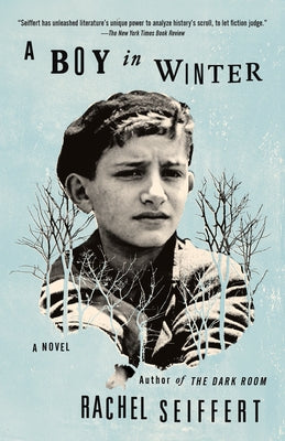 A Boy in Winter by Seiffert, Rachel