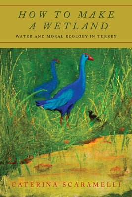 How to Make a Wetland: Water and Moral Ecology in Turkey Paperback Stanford University Press