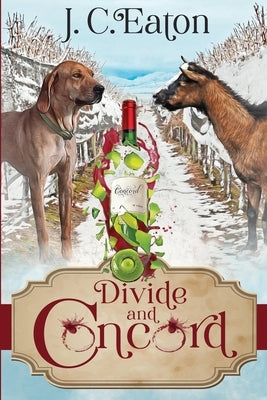 Divide and Concord Paperback Beyond the Page Publishing