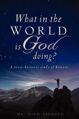 What in the World Is God Doing? Paperback Xulon Press