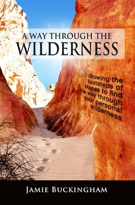 A Way Through the Wilderness: Following the footsteps of Moses find the way through your personal wilderness. Paperback Createspace Independent Publishing Platform