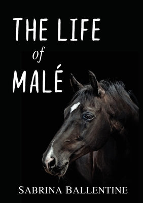 The Life of Malé Paperback Clink Street Publishing
