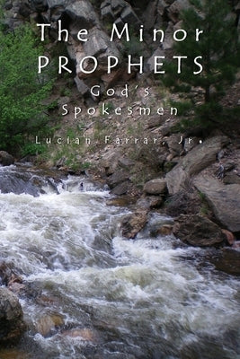 The Minor Prophets: God's Spokesmen Paperback James Kay Publishing