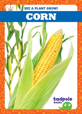 Corn Paperback Tadpole Books