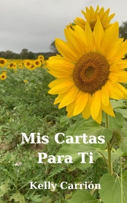 Mis Cartas Para Ti: A compliation of poems about heartbreak, love and healing Paperback Blurb