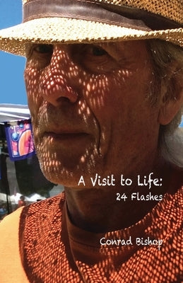 A Visit to Life: 24 Flashes Paperback Wordworkers Press
