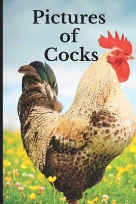 Pictures of Cocks: Funny White Elephant, Yankee Swap, Secret Santa Gift, (Stupid Gifts Ideas) Paperback Independently Published
